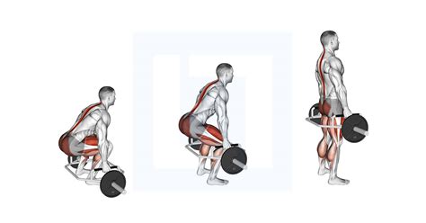 Trap Bar Deadlift - Guide, Benefits, and Form