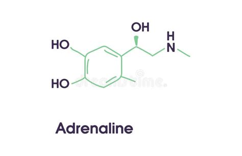 Adrenaline or Adrenalin, Epinephrine Structure Stock Illustration ...