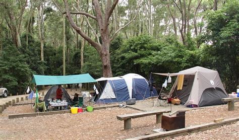 Depot Beach cabins | NSW National Parks and Wildlife Service