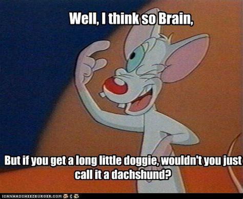 Pinky And The Brain Funny Quotes - ShortQuotes.cc