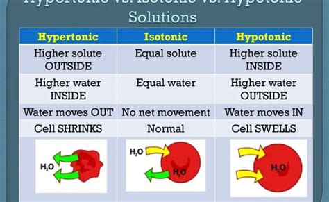 Difference Between Isotonic Hypotonic And Hypertonic Definition ...