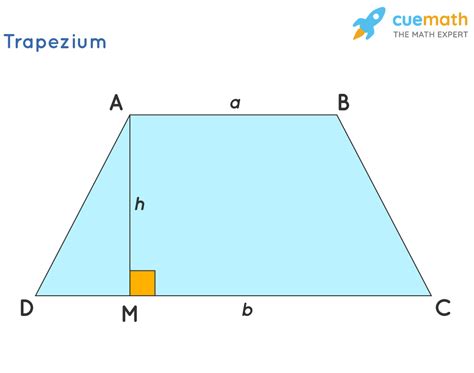 Trapezium Definition, Types, Properties, Formulas,, 45% OFF