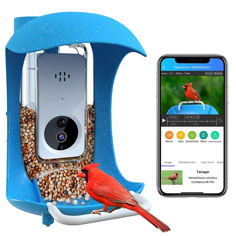 Buy JOW Smart Bird Feeder with Camera, Bird Watching/House Camera with ...