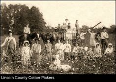 Cotton Pickers Lincoln County, Tennessee Down South, Fayetteville, 9 ...