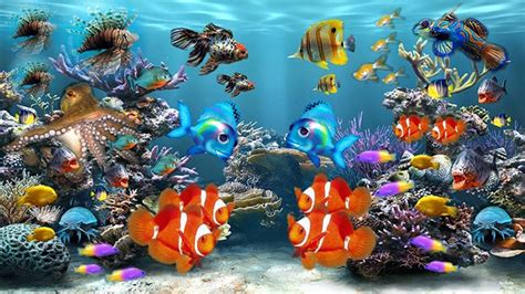 50+ Best Aquarium Backgrounds | Free & Premium Templates