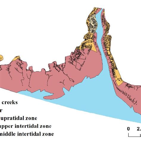 The overlay map of tidal creek extraction and tidal zone division ...