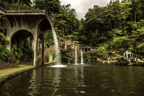 Botanical Gardens Madeira | Fasci Garden