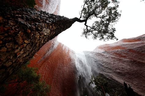 Visitors delight in spotting the rare phenomenon of Uluru Falls