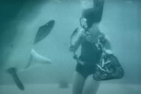 Having survived the Nazis, this woman secretly trained COMBAT DOLPHINS ...