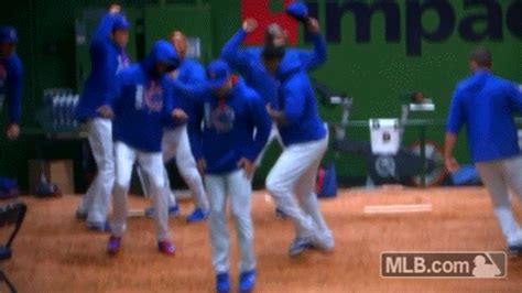 Cubs GIFs - Find & Share on GIPHY