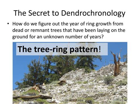 PPT - Introduction to Dendrochronology Lab PowerPoint Presentation ...