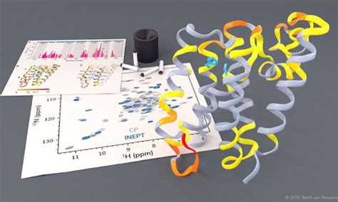 Our Parkinson's Place: Dynamic images show rhomboid protease in action