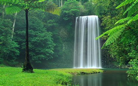 nature, waterfall, HD Wallpaper | Rare Gallery