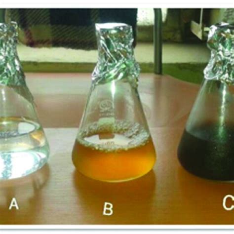 (A) Silver nitrate solution, (B) plant extract, and (C) silver nitrate ...