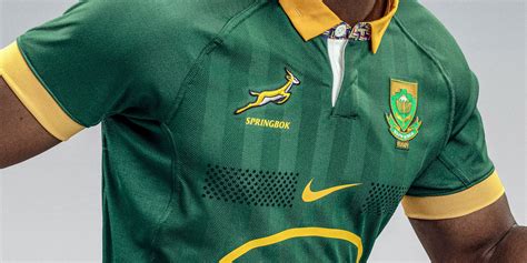 Springbok Rugby Jerseys 2024 - Lolly Rachele