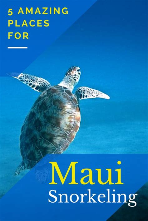 Maui Snorkeling – 5 Amazing Spots to see Incredible Fish & Turtles ...