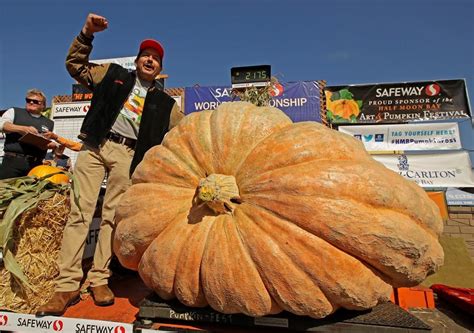 Giant pumpkin weighing nearly 1 ton sets California record - NEWS 1130