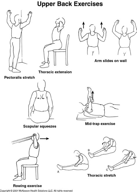 Sports Medicine Advisor 2003.1: Upper Back Pain Exercises: Illustration