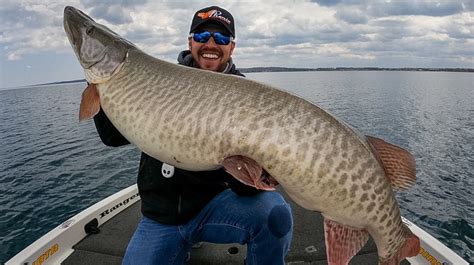 Pike or muskie? | Michigan Sportsman Forum