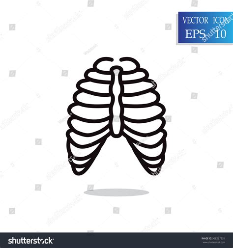 Human Thorax Icon Stock Vector (Royalty Free) 368237231 | Shutterstock