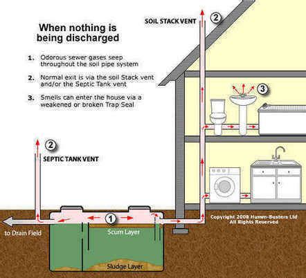 Favorite Soil Vent Pipe Height Above Roof Butcher Block Breakfast Bar