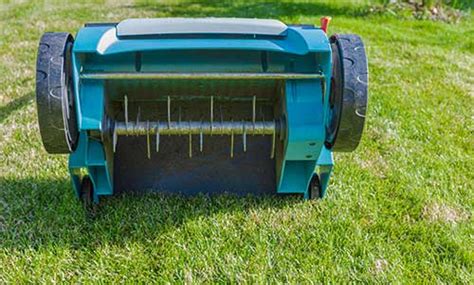 What is Lawn Aeration and Why is it Important? | RYAN Lawn & Tree