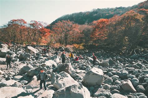 Jeju autumn itinerary — 6 best places to visit & top things to do in ...