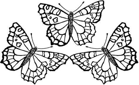 Butterfly Template Coloring Page Coloring Home