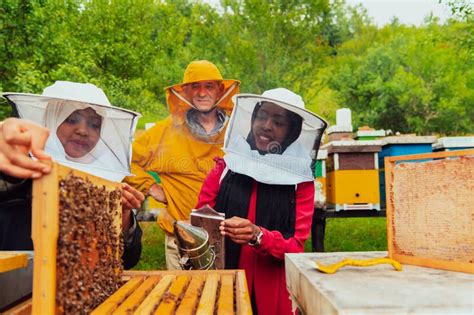 Business Partners with an Experienced Senior Beekeeper Checking the ...