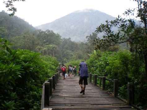 Mount Gede Pangrango National Park