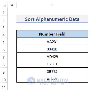 How to Sort Alphanumeric Data in Excel - 2 Steps - ExcelDemy