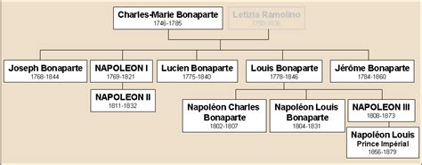 El proyecto de ADN de Napoleón