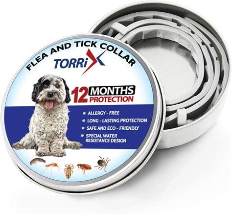 Natural Flea And Tick Prevention For Puppies