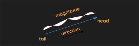 Vectors and their use in physics