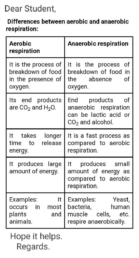 Similarities Between Aerobic And Anaerobic Respiration ...