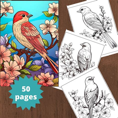 Bird Coloring Book, Animals Coloring Pages, Coloring Book for Adults ...