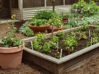 Raised Bed Garden Design: How To Layout & Build | Garden Design