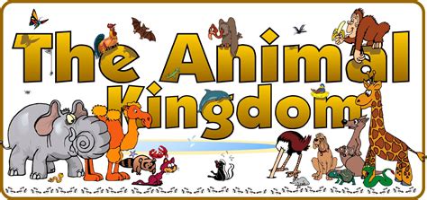 Animal kingdom clipart 20 free Cliparts | Download images on Clipground ...