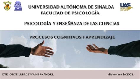 Procesos cognitivos y aprendizaje