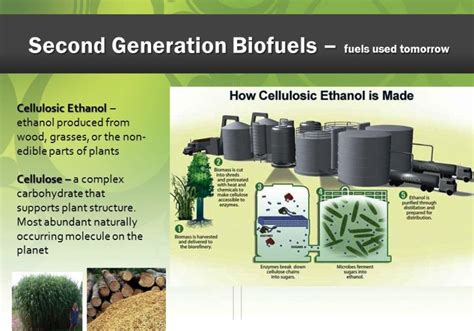 Biofuel: Types, Uses & Examples – StudiousGuy