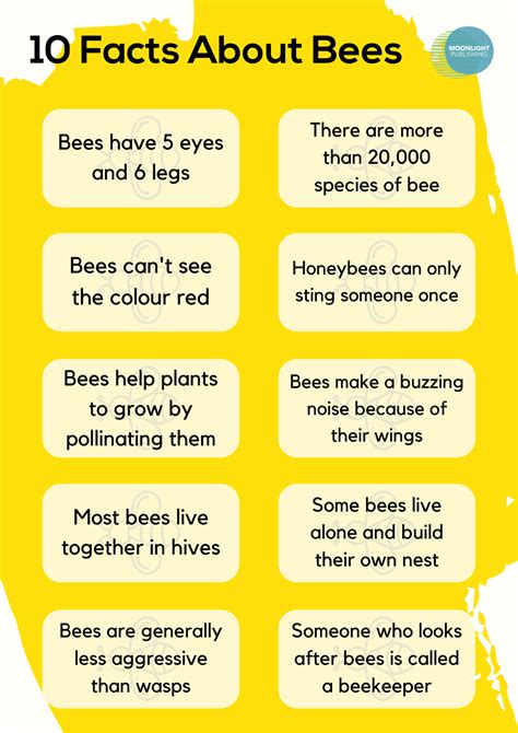 10 Fascinating Bee Facts for Kids | Free PDF - Moonlight Publishing