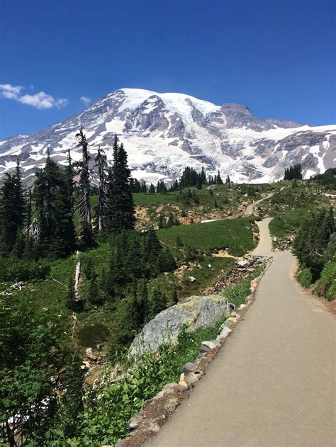 Hiking on Mount Rainier | Smithsonian Photo Contest | Smithsonian Magazine