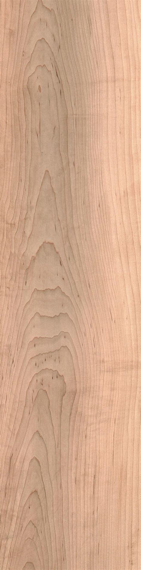 Hard maple | The Wood Database - Lumber Identification (Hardwood)