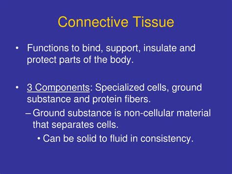 PPT - Connective tissue PowerPoint Presentation, free download - ID:2838182