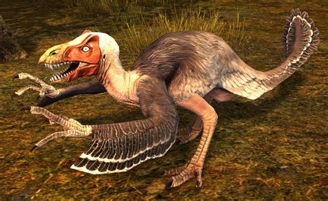 Raptor - Guild Wars 2 Wiki (GW2W)