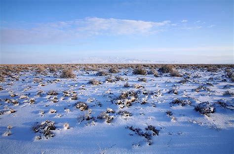 The Great Basin Desert - WorldAtlas