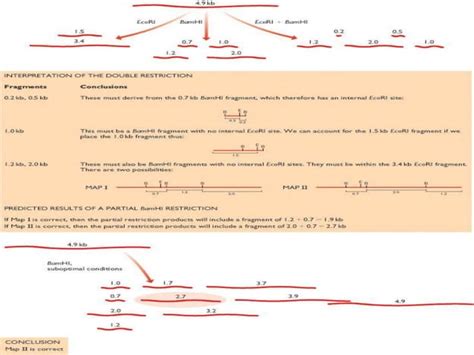 Construction of human gene map through map integration- from genetic ...