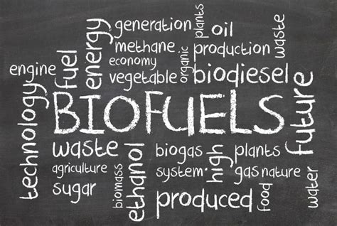 Various Advantages and Disadvantages of Biofuels - Conserve Energy Future