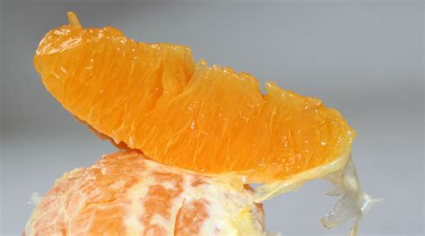 Free photo: Orange Slices - Citrus, Food, Fresh - Free Download - Jooinn