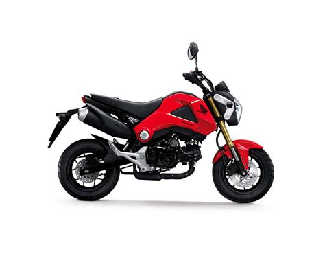 2014 Honda Grom - Perfect Small City Motorcycle | Tech & ALL